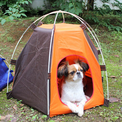 Pet Tent