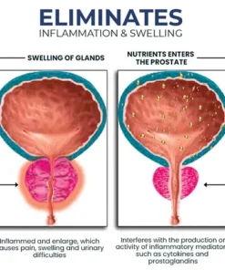 LOVILDS™ BeeProsta Nasal Spray for Prostate Wellness