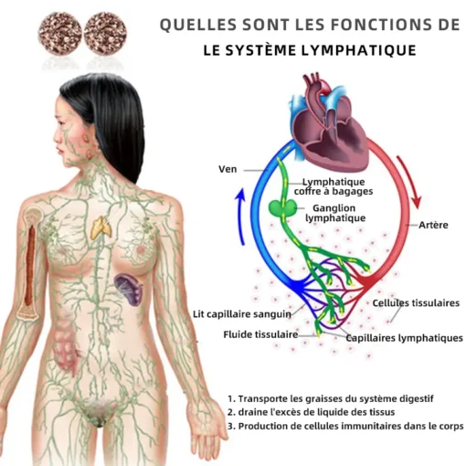 CZTICLE™ Boucles d'oreilles en Germanium Magnetology Lymphvity - Image 39