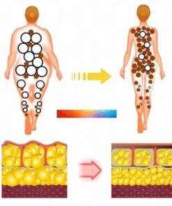 DetoxFlow™ Portable LymphaticDetox And Joint Relaxation Therapy Device