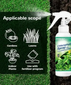 JEREMYTIS™ Chlorophyll Spray