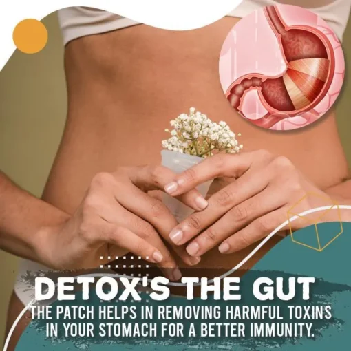 Perfect Detox Slimming Patch