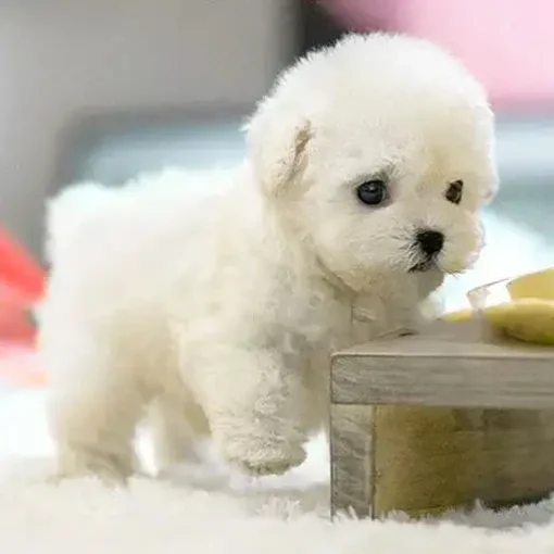 Realistic Robot Puppy - Image 11