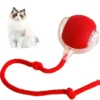 SEURICO™ Intelligent Automatic Rolling Pet Ball